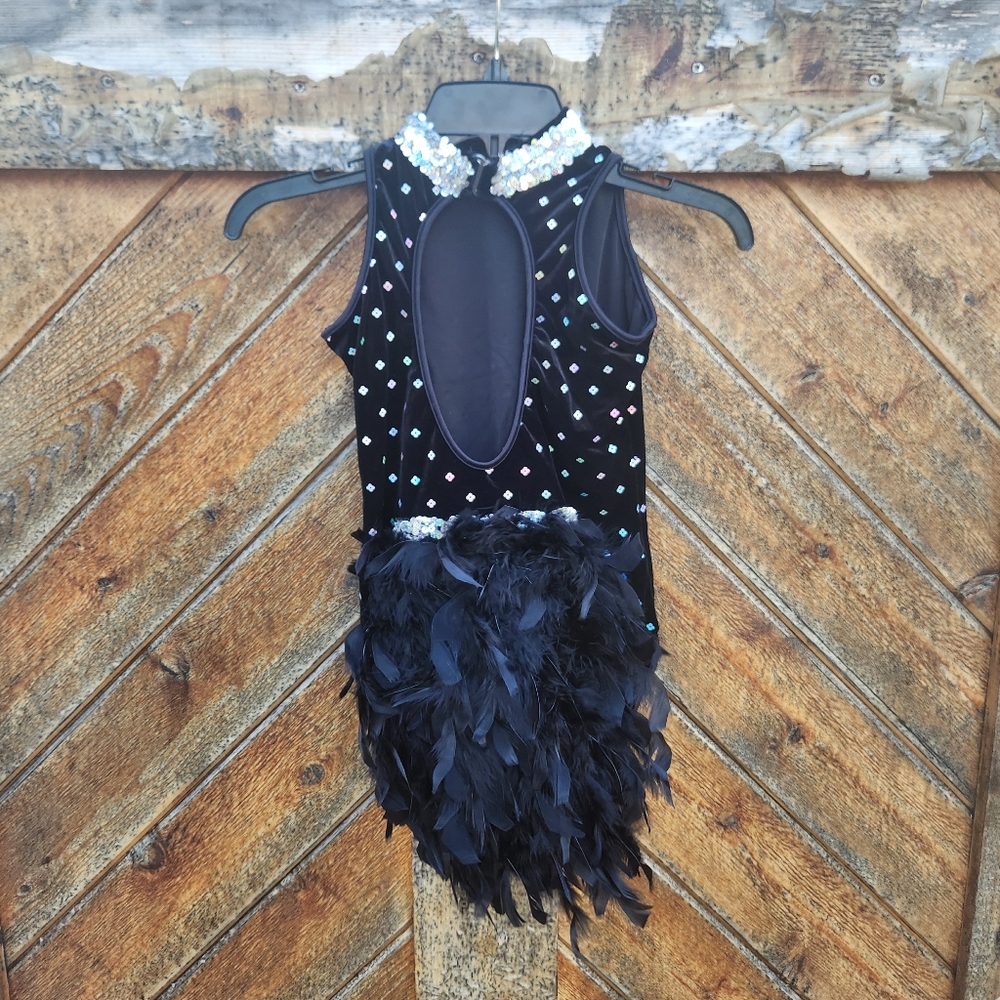 Cicci Dance and Ice Skating Feathered Show Costume